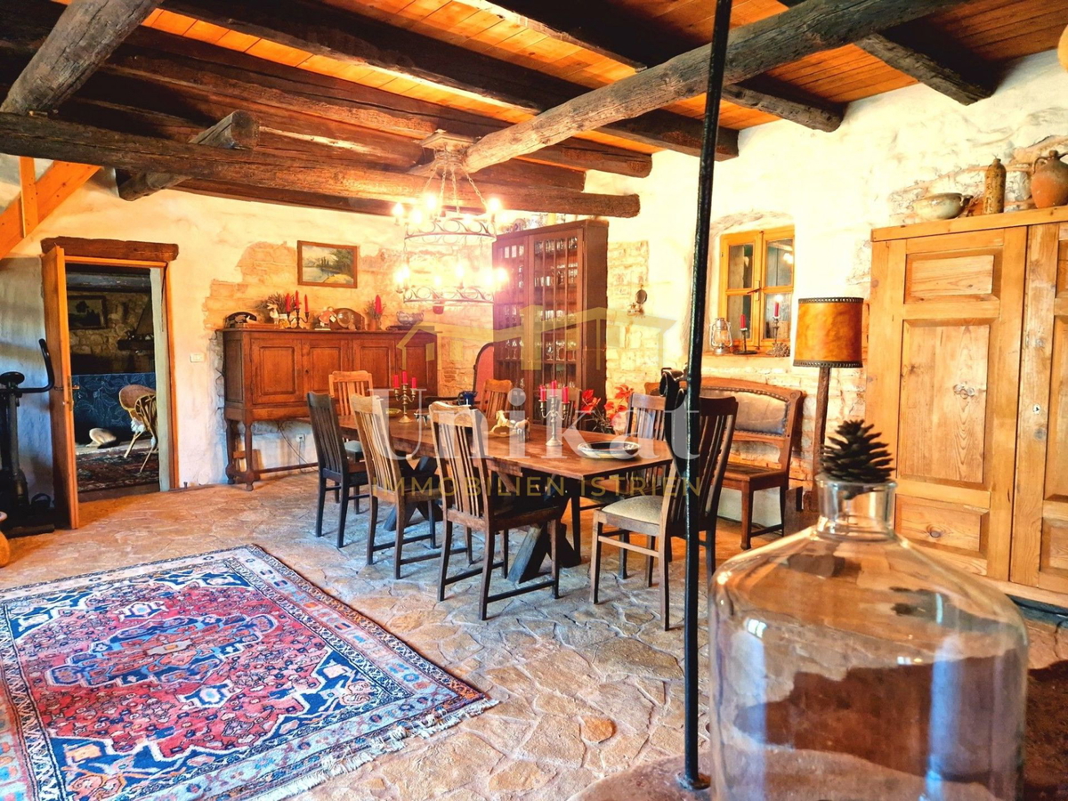 Avtentično posestvo s kamnito hišo in velikim zemljiščem